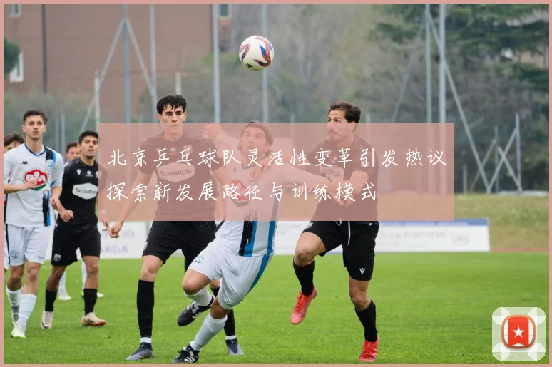 北京乒乓球队灵活性变革引发热议探索新发展路径与训练模式