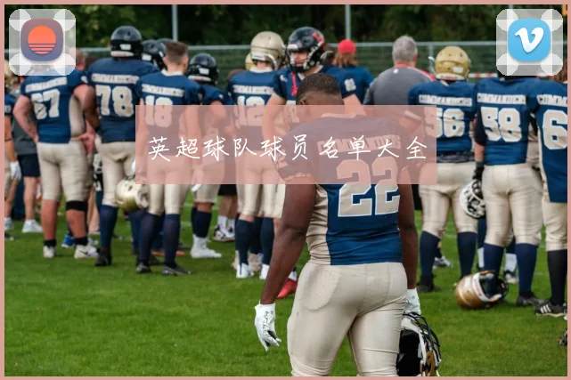 英超球队球员名单大全